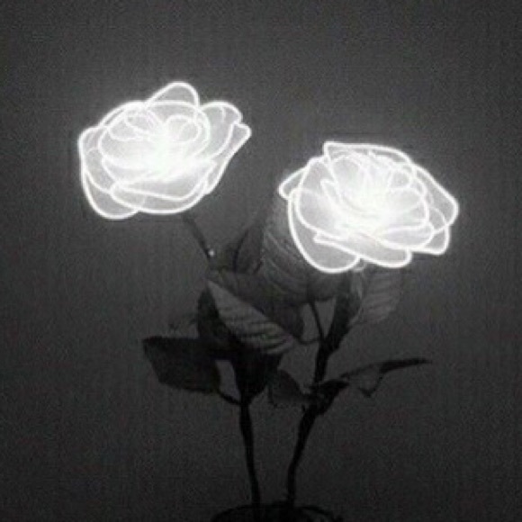 Profile Picture of Shezariaa Adamss (@zzariaaa) on Poshmark