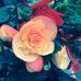 Profile Picture of Doris Pieper (@Doris-Pieper) on Facebook
