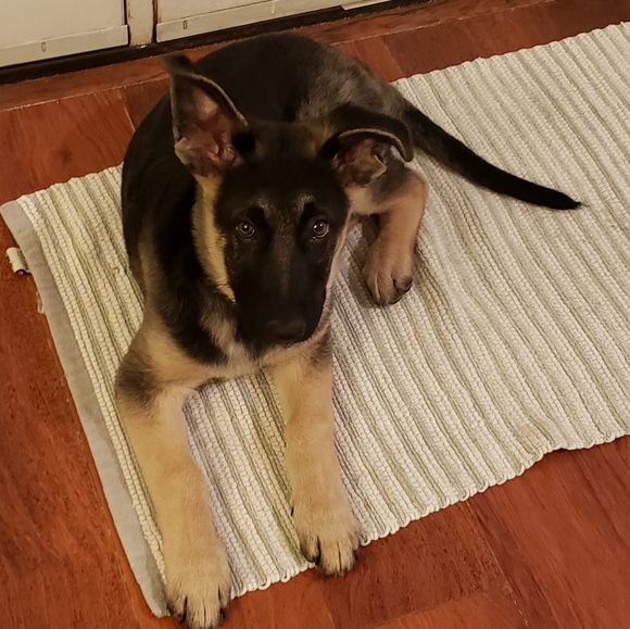 Profile Picture of Jo Lockwood (@jolockwood) on Poshmark