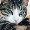 Profile Picture of Quirk (@quirk122) on Tiktok