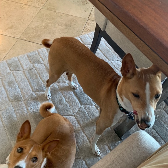 Profile Picture of Tim Harrington (@tim1313) on Poshmark