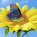 Profile Picture of Diane Potts (@diane.potts.716) on Facebook