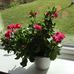Profile Picture of Ruth Fisker (@ruth.fisker.73) on Facebook