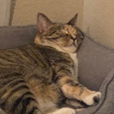 Profile Picture of Mark Hebda (@mark_hebda) on Twitter