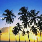 Profile Picture of alice llorente (@alicello__) on Instagram
