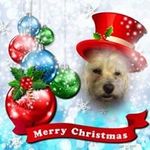 Profile Picture of John Hocking (@hocking6788) on Instagram