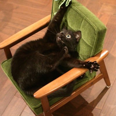 Profile Picture of Sad Dick Waffle (@luvsomegoodpens) on Twitter