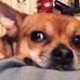 Profile Picture of Roscoe Webb (@roscoe.webb.7) on Facebook