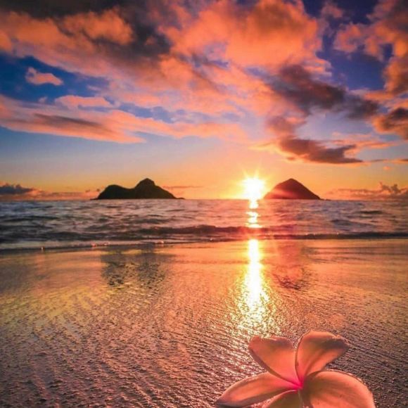 Profile Picture of Chris Saitorotele (@csaitorotele) on Poshmark