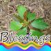 Profile Picture of James Mulli (@james.mulli.923) on Facebook