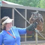 Amanda Hill Ruhe - Instagram Profile Picture of Amanda Hill Ruhe (@amvhr) on Instagram