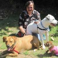 Profile Picture of Michael Ericson (@michael-ericson-8) on Quora