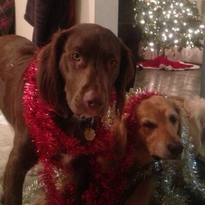 Profile Picture of Whitney Downs Rule (@WhittersD1) on Twitter