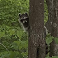 Profile Picture of Nick Matteo (@nick-matteo-7) on Quora