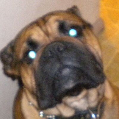 Profile Picture of Cierra  Long (@raeselena) on Twitter