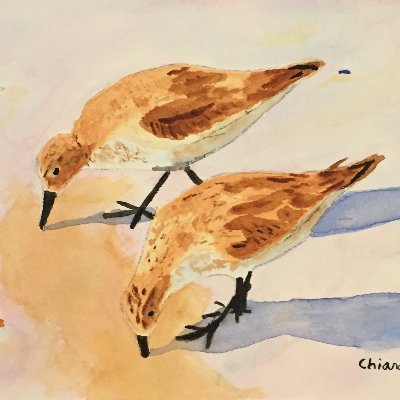 Andrew Chianese - Twitter Profile Picture of Andrew Chianese (@andrew_chianese) on Twitter