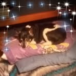 Profile Picture of Gene Wallace (@gene.wallace.5623) on Facebook