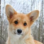 Profile Picture of jasmine blocker (@jasmine888509) on Instagram