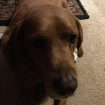 Profile Picture of Travis Frantz (@TravisFrantz1) on Twitter