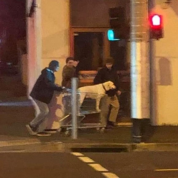 Profile Picture of Non Non (@nonnon230) on Poshmark