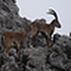 Profile Picture of bacuta (@bacuta) on Flickr