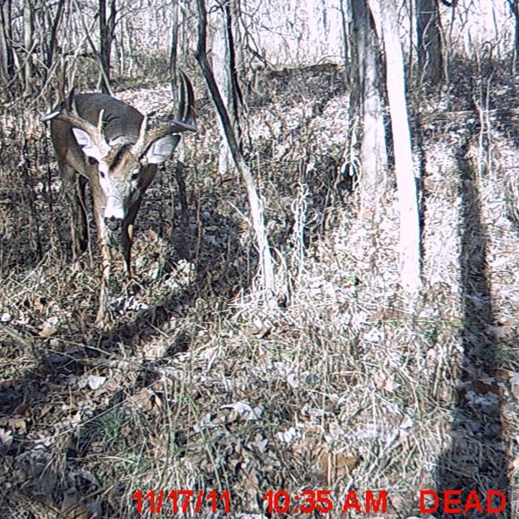 Profile Picture of David Rosenbaum (@huntn5) on Poshmark