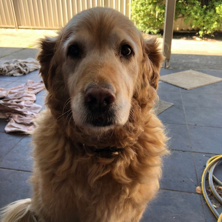 Profile Picture of Dusty (@dustyterminator) on Tiktok