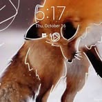 Profile Picture of Izzy Eagle (@therianizzywolf) on Facebook