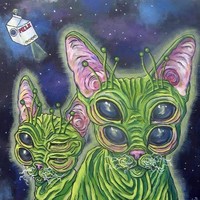 Profile Picture of Cory Bradley (@cory-bradley-13) on Quora