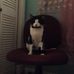Profile Picture of David Evensizer (@david.evensizer.37) on Facebook