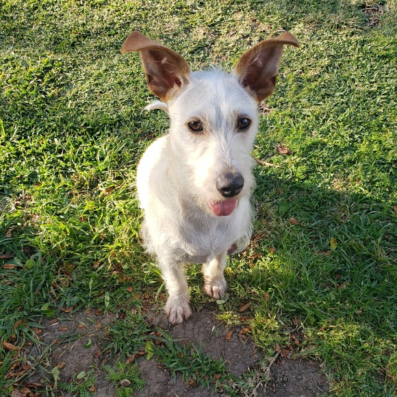 Sam Huberman - Poshmark Profile Picture of Sam Huberman (@shuberman) on Poshmark