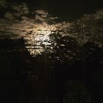 Profile Picture of Jason W (@rottenwoodale) on Instagram