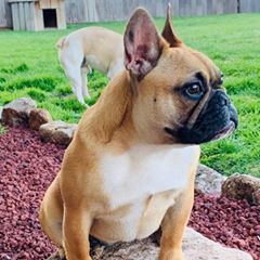 Profile Picture of Corey Post (@coreypost) on Tiktok