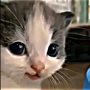 Profile Picture of Dzinn ッ (@dzinn.clipes) on Tiktok