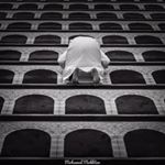 Profile Picture of Mohammed Hassan Abdel Dayem (@mohammedhassanabdeldayem) on Instagram