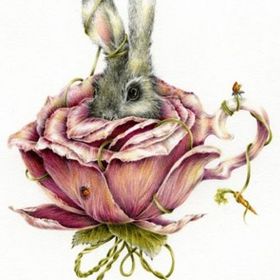 Profile Picture of Brenda Gates (@faithbunnies) on Pinterest