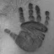 Profile Picture of Tim Roach (@FilthyPirates) on Youtube