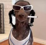 Profile Picture of Marshall Tansley (@Marshall-Tansley) on Facebook