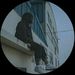 Profile Picture of DANİ--MARKAA (@edan1z1mm) on Pinterest