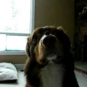 Profile Picture of Charles Matchett (@TeamChuck) on Youtube