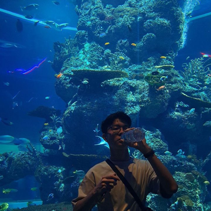 Profile Picture of Joshua Ng (@joshuang3) on Tiktok