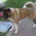 Profile Picture of Karl Tauscher (@profile.php) on Facebook