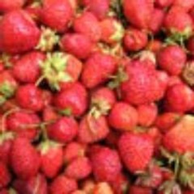 Profile Picture of William Killen (@fastgindephar11) on Twitter