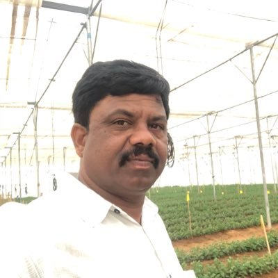 Profile Picture of Ravinder Chittaluru (@RChittaluru) on Twitter
