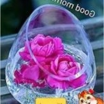 Profile Picture of Champa Patel (@champa.patel) on Instagram