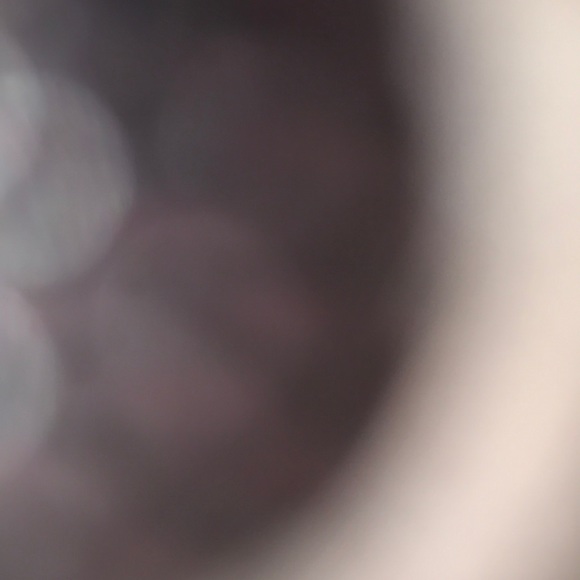 Profile Picture of Danielle Kealoha (@dkealoha85) on Poshmark