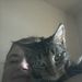 Profile Picture of Pam Jordan (@glowdigger) on Pinterest