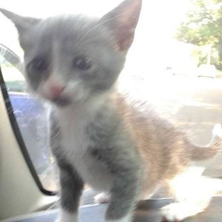 Profile Picture of Clancy Cooper (@Clancy-Cooper) on Facebook