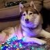 Profile Picture of Amy Setzer (Amy Wyman) (@amy.setzer.127) on Facebook