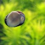 Profile Picture of Joe Breuer (@joachimbreuer) on Instagram